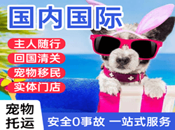 沧源佤山航空物流国际宠物托运 【国